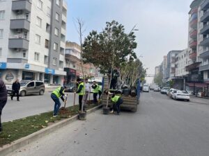 BİR AYDA BİN 900 AĞAÇ DİKİLDİ