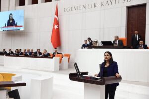 ODUNCU, KADASTRO SORUNUNU MECLİSE TAŞIDI