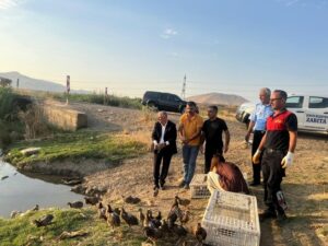 1500 Sülün doğaya bırakıldı