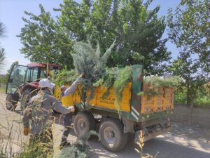 Mezarlıklarda Estetiğe Büyük Önem Veriliyor