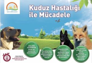 VALİLİKTEN ‘KUDUZ’ AÇIKLAMASI