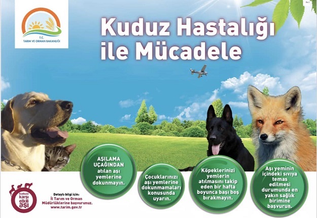 VALİLİKTEN ‘KUDUZ’ AÇIKLAMASI