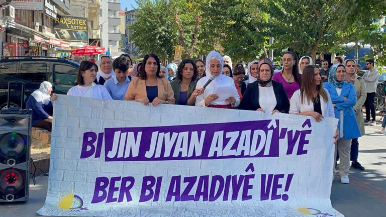 HDP KADIN MECLİSİ KAMPANYA AÇIKLAMASI