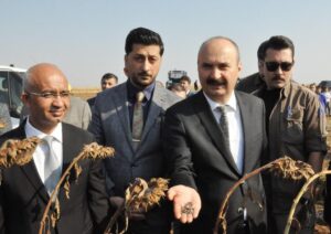 Yağlık ayçiçeği fiyatı belirlendi