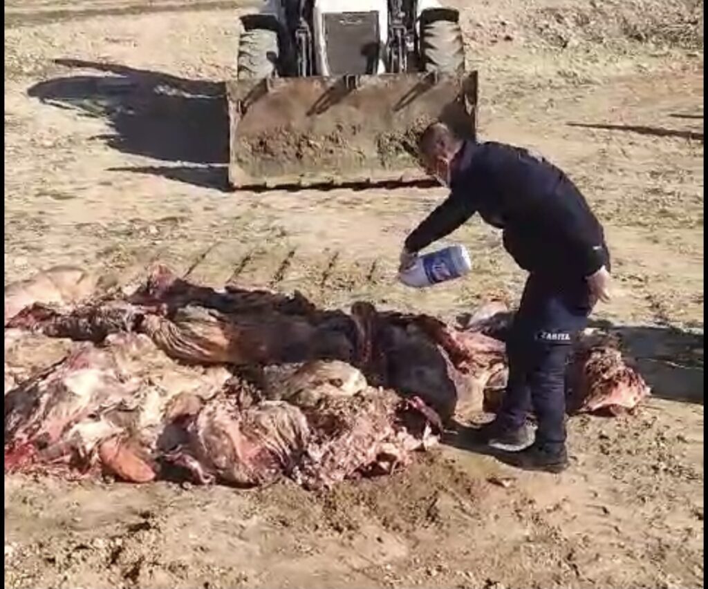 Kaçak et operasyonu