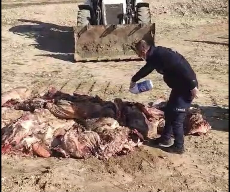 Kaçak et operasyonu