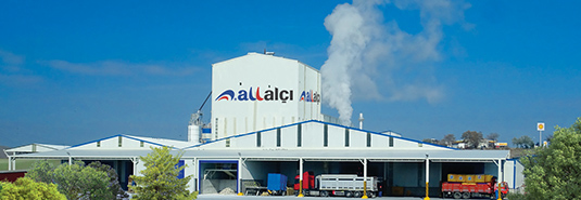 All Alçı halka arz ile hedef büyütecek