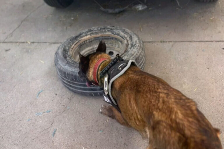 Aracın yedek lastiğinden uyuşturucu çıktı
