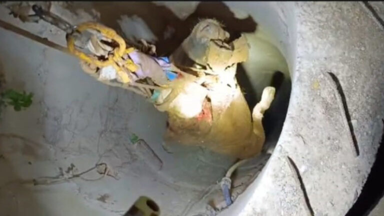 Kuyuya düşen inek kurtarıldı