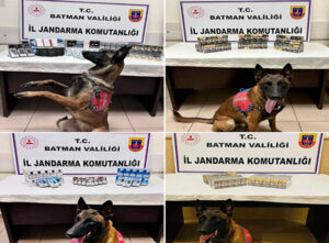 998 PAKET GÜMRÜK KAÇAĞI SİGARA ELE GEÇİRİLDİ