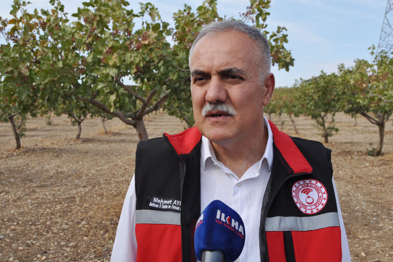 “Fıstıkta 3 bin ton rekolte bekliyoruz”
