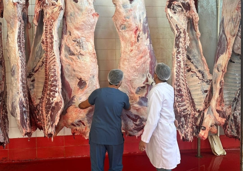 KAÇAK ET KESİMİ YAPAN 45 İŞLETME DENETLENDİ