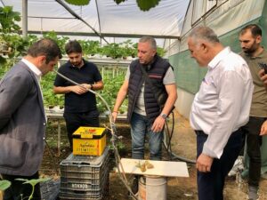 AYDIN’DAN TOPRAKSIZ ÇİLEK SERASINA ZİYARET