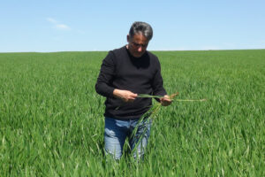 SON YAĞIŞLAR ÇİFTÇİLERİ SEVİNDİRDİ