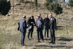 Ahmed-i Hani Ormanı bambaşka bir görünüme kavuşuyor!