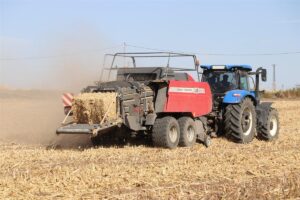 Anız yakanlara 22 milyonluk ceza