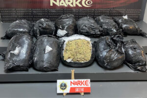 11 Kilo skunk ele geçirildi