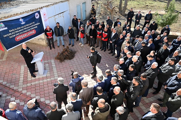 Çiftçilere 5 bin adet Aşılı Asma Fidanı Dağıtıldı