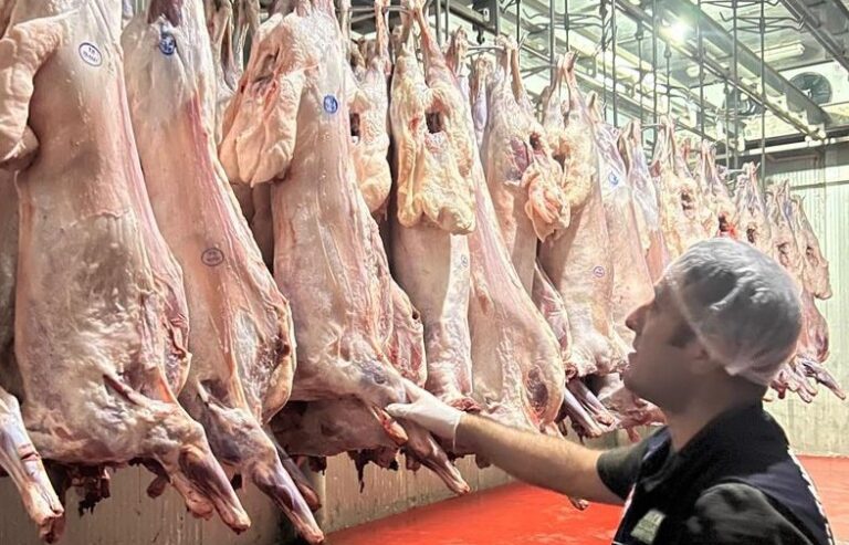 Batman’da Gıda Denetimlerine 3.7 Milyon TL Ceza