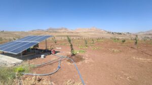 Batmanlı çiftçilere 80 milyonluk hibe