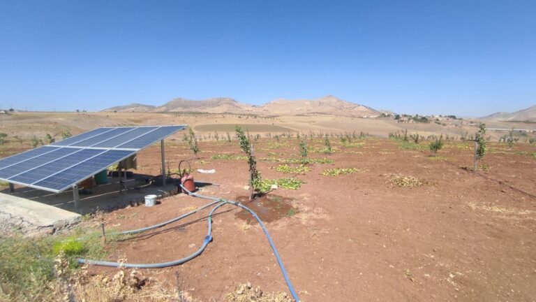 Batmanlı çiftçilere 80 milyonluk hibe