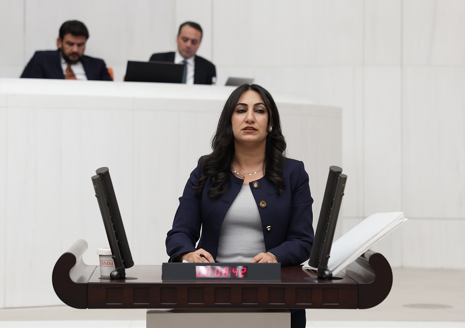 Su ve çevre kirliliğini meclise taşıdı