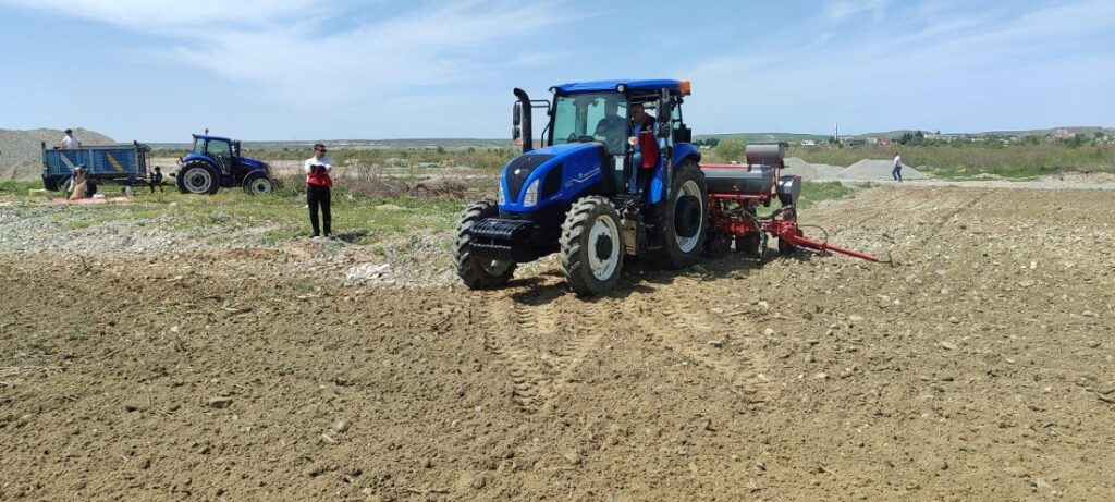 İlimizde İlk Kez Yer Fıstığı Ekim’i Yapıldı