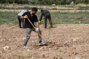 ÖĞRENCİLER HEM OKUYOR HEM ÇALIŞIYOR