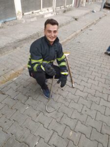 Eve giren yılan doğaya bırakıldı