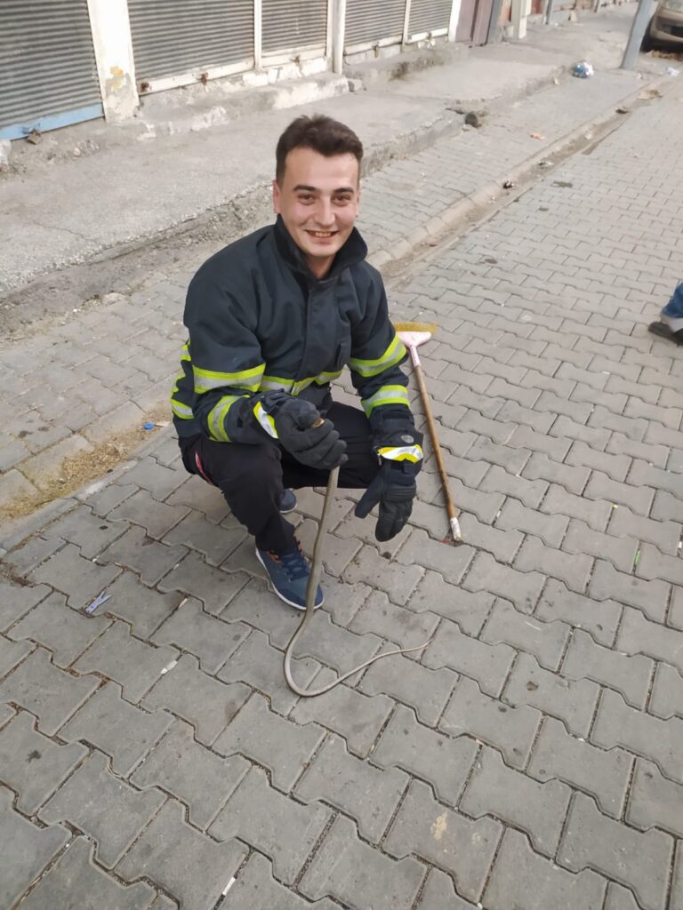 Eve giren yılan doğaya bırakıldı