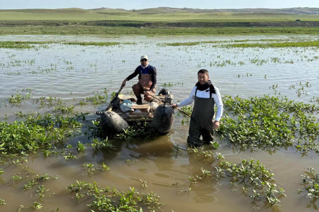 Kaçak balık avcılarına ceza