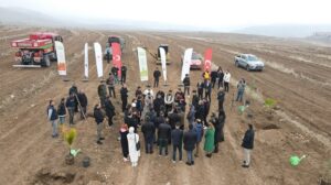 Yeşil Kuşak Ağaçlandırma Faaliyetleri Devam Ediyor