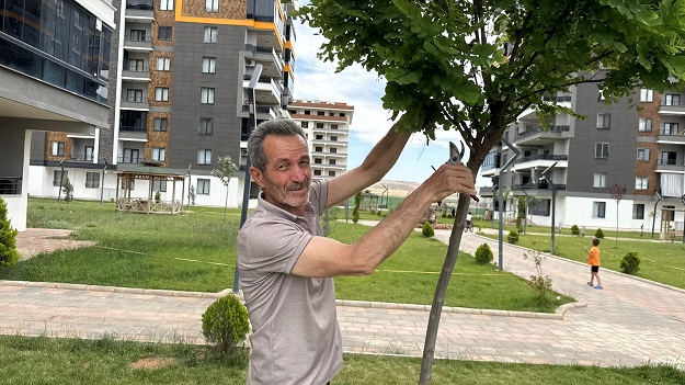 Batman’da 180 Ağaçlık Örnek Dayanışma