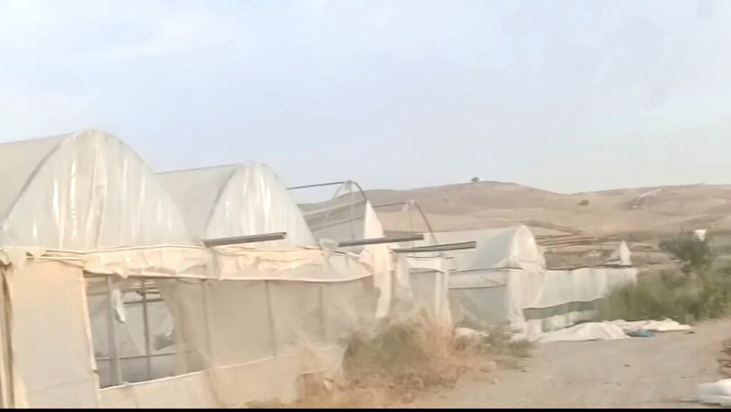 Fırtına seraları vurdu!