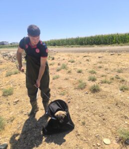 Kanala düşen yavru köpek kurtarıldı