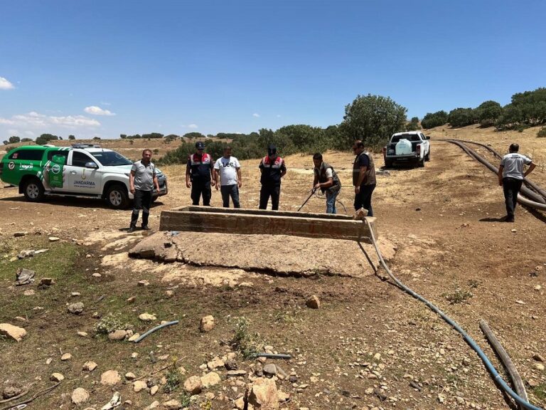 “Kum Keklikleri Suyla Buluştu”