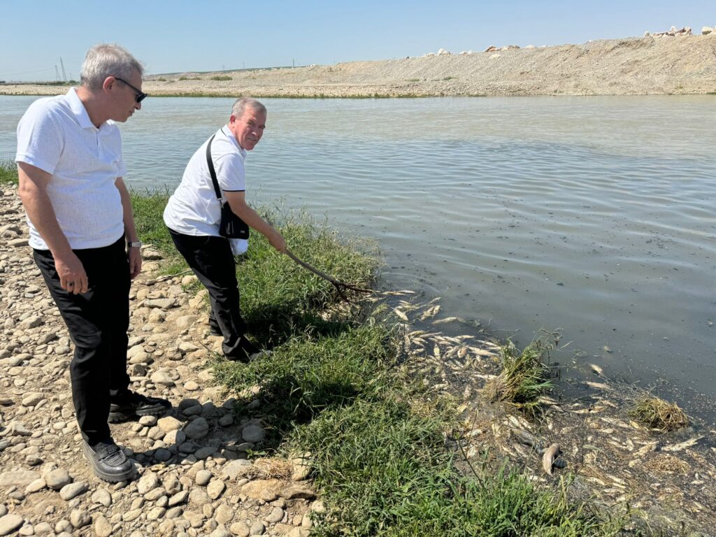 Batman Çayında Balık Katliamı!