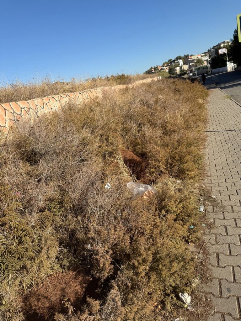 ÖĞRENCİLER DİKENLİ YOLDAN OKULA GİDİYOR!