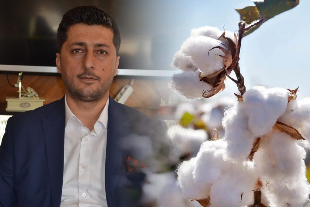 Pamukta yeni fiyat belli oldu