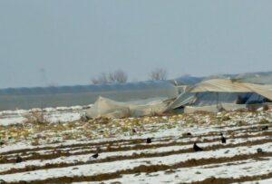 Batman’da Kar Felaketi: 100 Dönüm Sera Çöktü